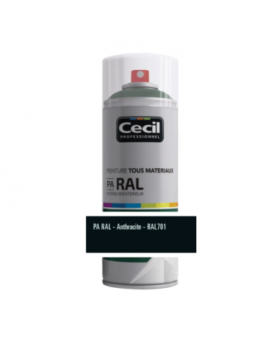 CECIL PA RAL - Peinture aérosol tous...