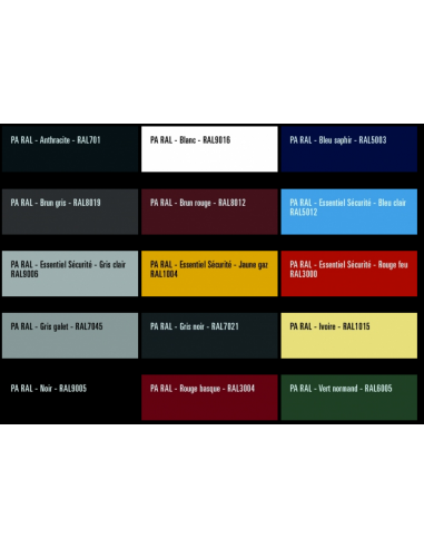 CECIL PA RAL - Peinture aérosol tous...