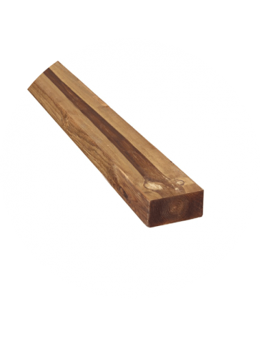 Traverse paysagère Dunkerque Pin BES